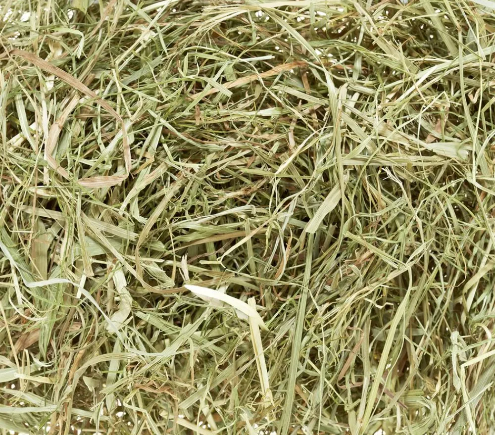 Dehner Lieblinge Stroh & Streu|Heu - Wiesenheu, 800 g