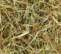 Dehner Lieblinge Heu > Wiesenheu, 3 kg
