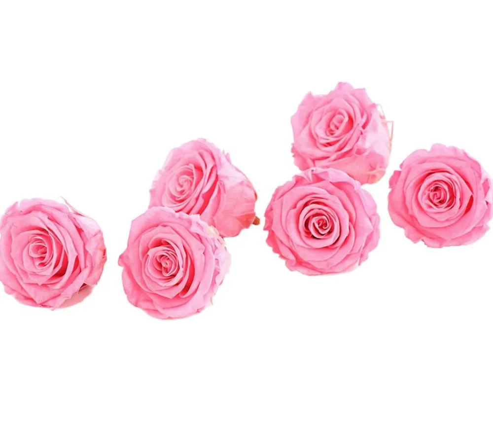 Dehner Bastelbedarf|Konservierte Rosen > Longlife-Rose, ca. Ø6 cm