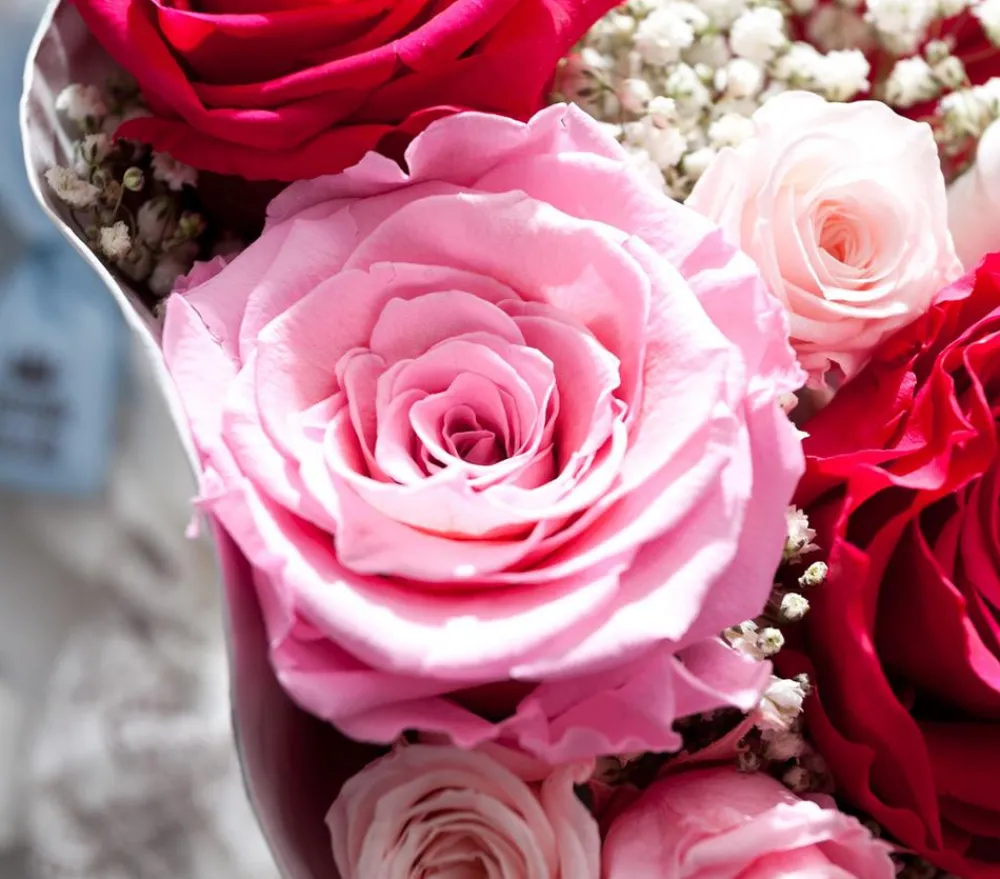 Dehner Bastelbedarf|Konservierte Rosen > Longlife-Rose, ca. Ø6 cm