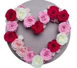 Dehner Bastelbedarf|Konservierte Rosen > Longlife-Rose, ca. Ø6 cm
