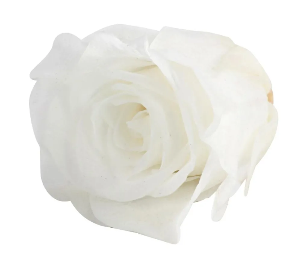 Dehner Bastelbedarf|Konservierte Rosen > Longlife-Rose, ca. Ø3 cm