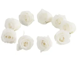 Dehner Bastelbedarf|Konservierte Rosen > Longlife-Rose, ca. Ø3 cm