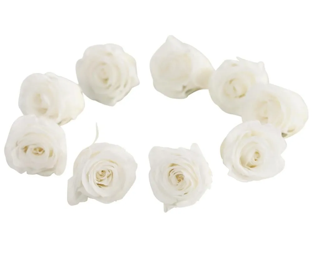 Dehner Bastelbedarf|Konservierte Rosen > Longlife-Rose, ca. Ø3 cm