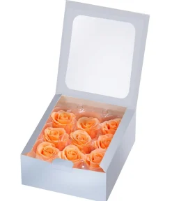 Dehner Bastelbedarf|Konservierte Rosen - Longlife-Rose, ca. Ø3 cm Apricot