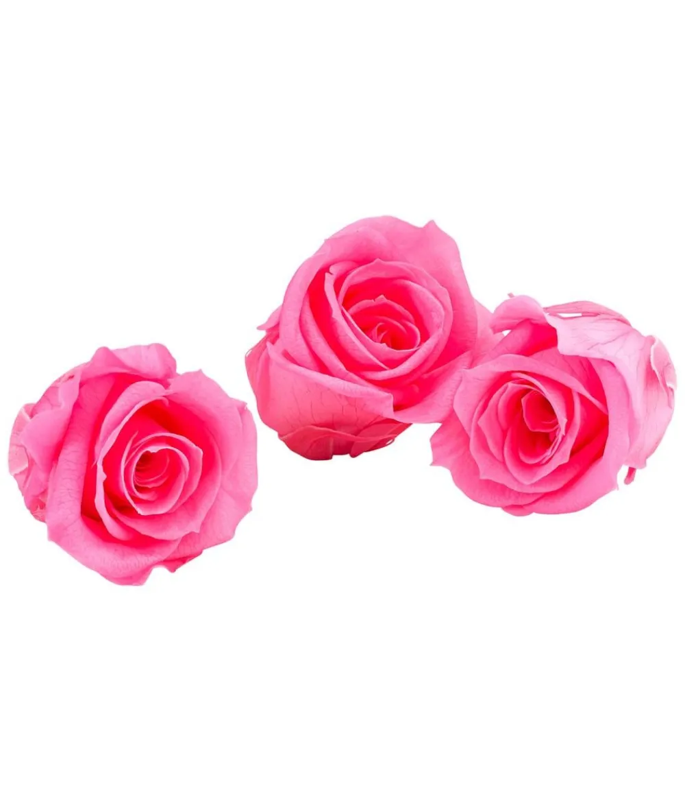 Dehner Bastelbedarf|Konservierte Rosen - Longlife-Rose, ca. Ø3 cm Pink