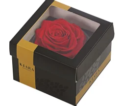 Dehner Bastelbedarf|Konservierte Rosen - Longlife-Rose in Geschenkbox, ca. Ø9 cm Rot