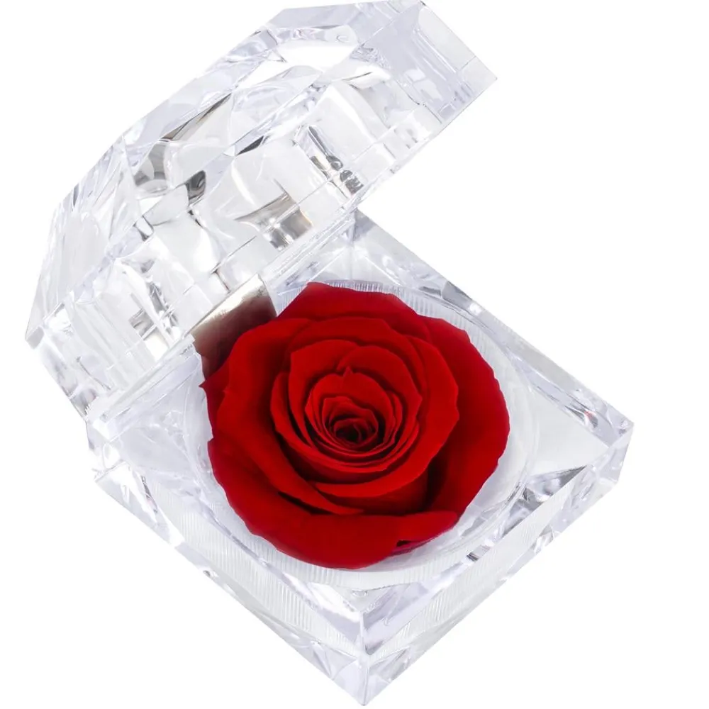 Dehner Konservierte Rosen - Longlife-Rose in Juwelenbox, ca. Ø3,5 cm Rot