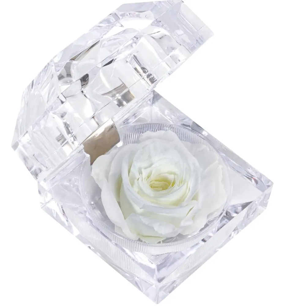 Dehner Konservierte Rosen - Longlife-Rose in Juwelenbox, ca. Ø3,5 cm Weiß