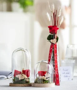 Dehner Longlife-Rose mit Stiel, Rot Sale
