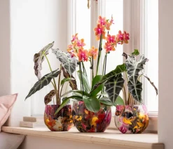 Dehner Metall-Übertopf Diva Magnolia, bauchig, Bunt Discount