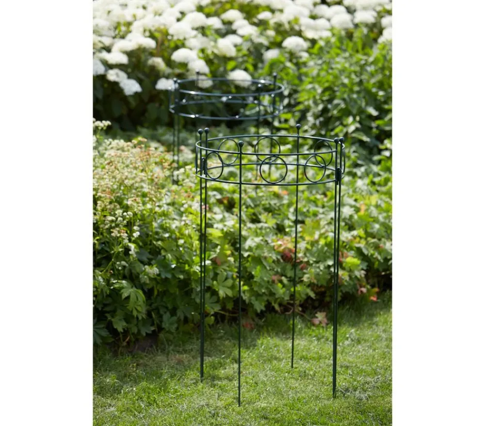 Dehner Rankgitter & Obelisken > Metall-Pflanzenstütze Annabelle, ca. H100 cm
