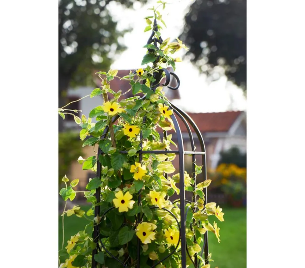 Dehner Metall-Rankobelisk Canterbury, Grau Sale