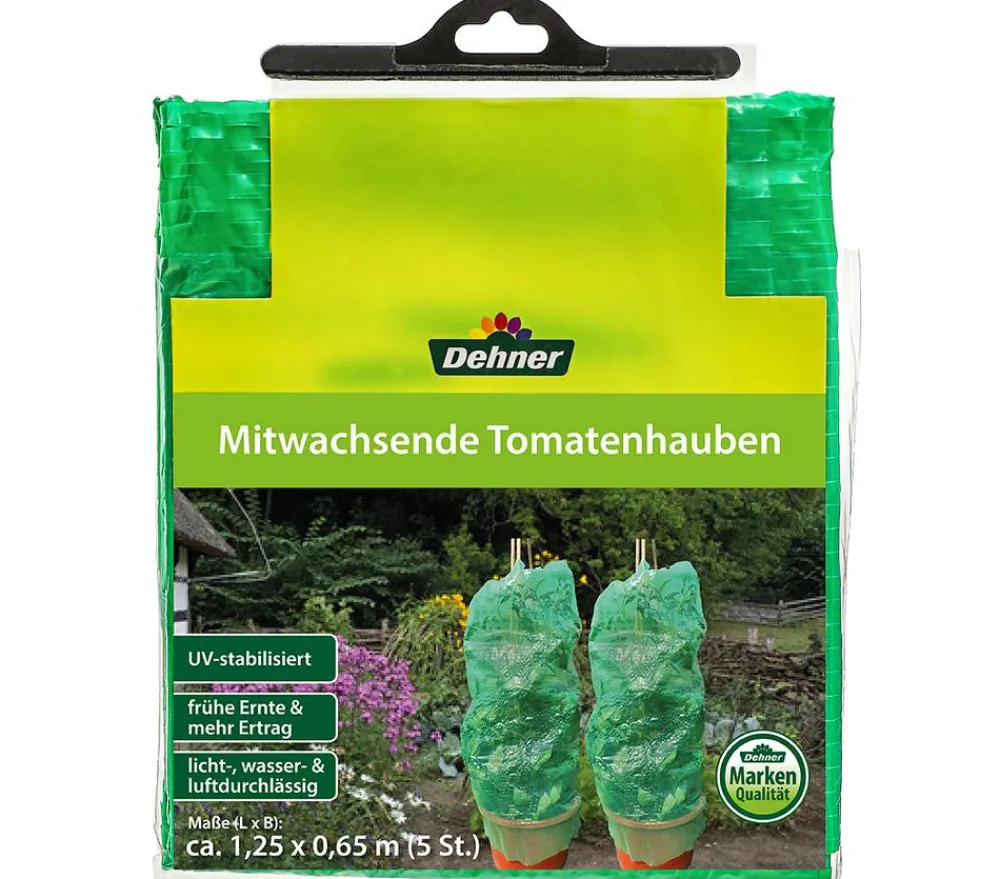 Dehner Mitwachsende Tomatenhaube, 5 Stück Hellgrün Online