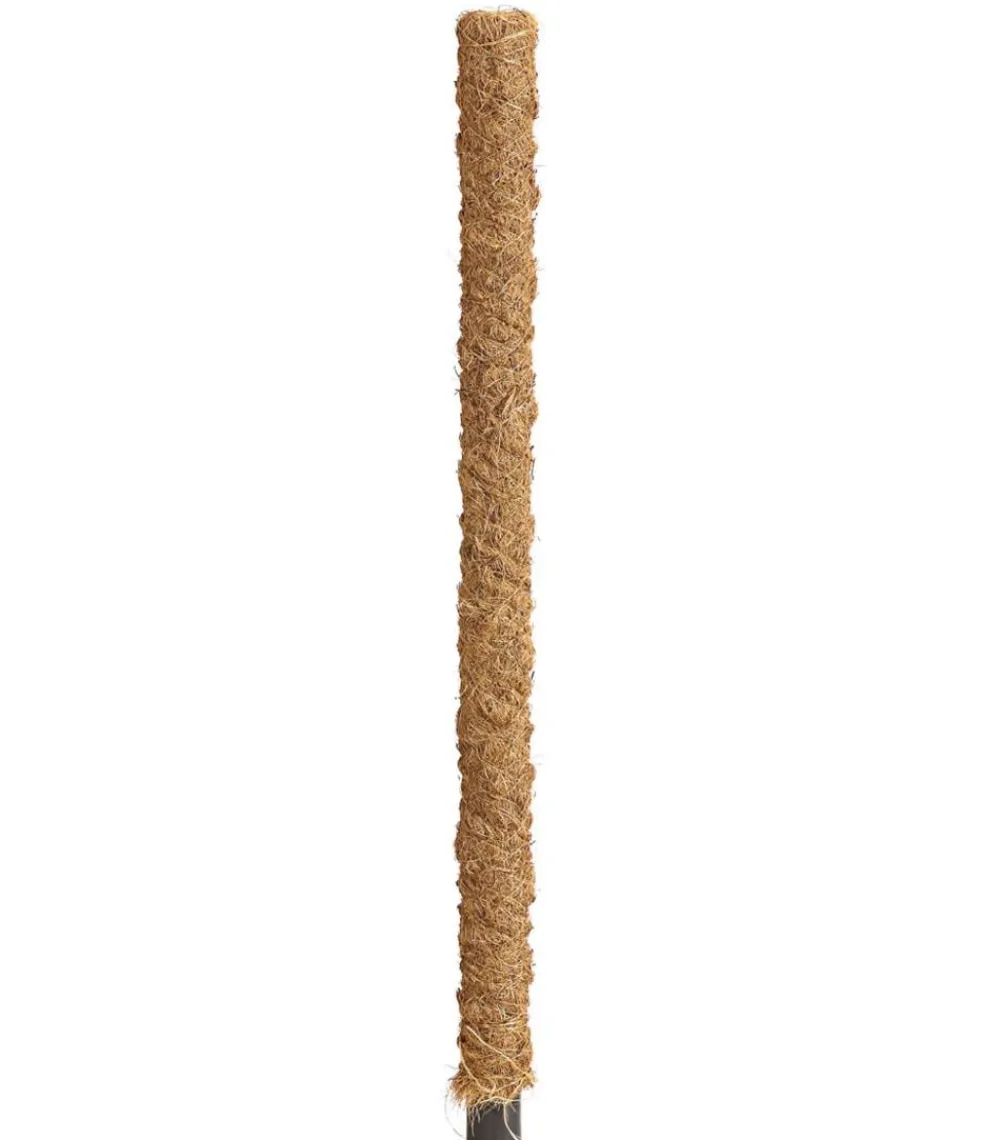 Dehner Moosstab Clearance