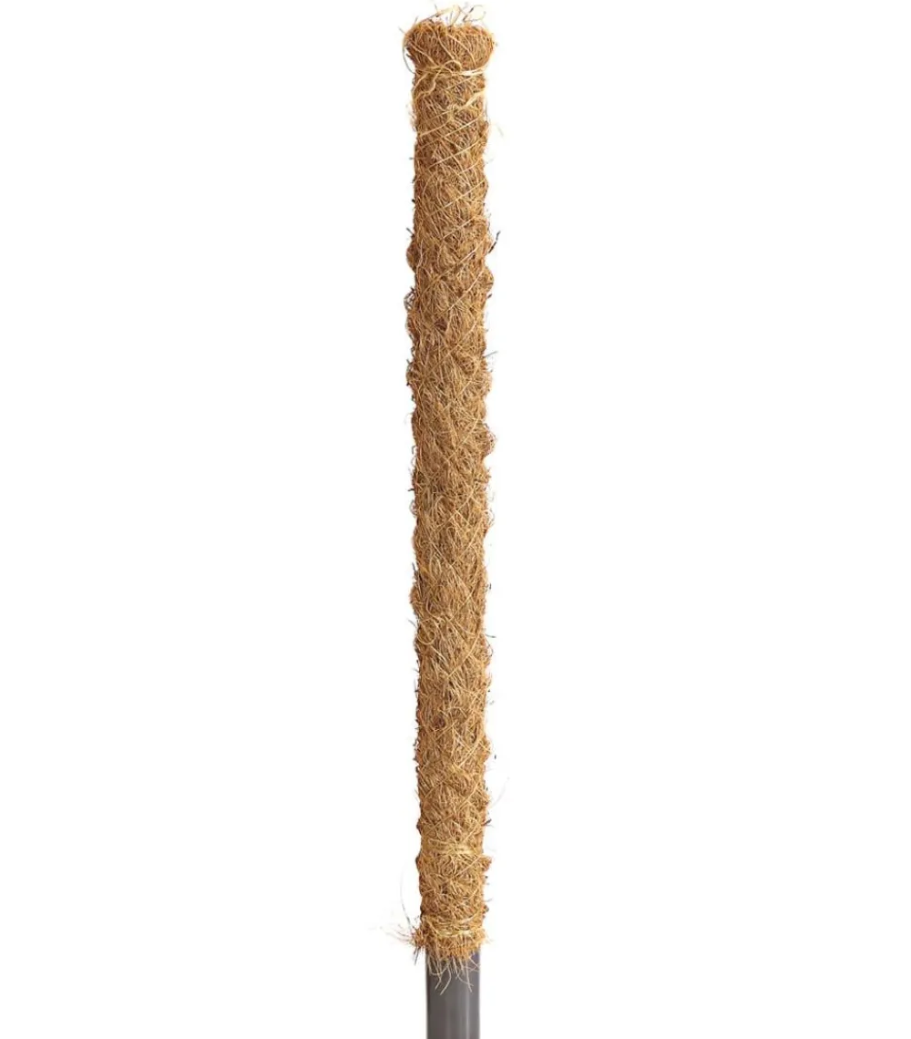 Dehner Moosstab New