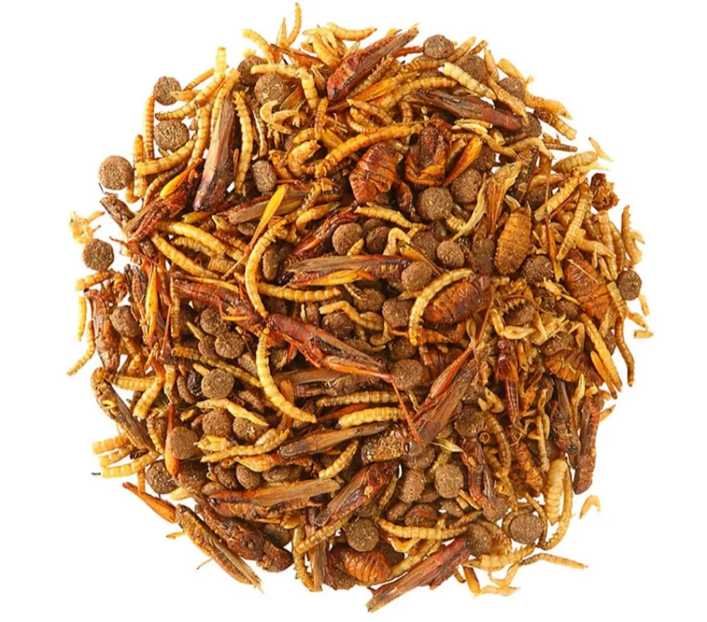 Dehner Natura Premium Igelfutter & -Häuser|Kleintierfutter > Igel-Delikatesse, 100g