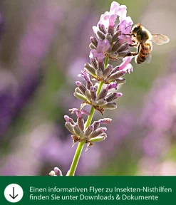 Dehner Natura Premium Nützling & Insektenhotels - Insektenhotel Gaia, ca. B24/H34/T11 cm