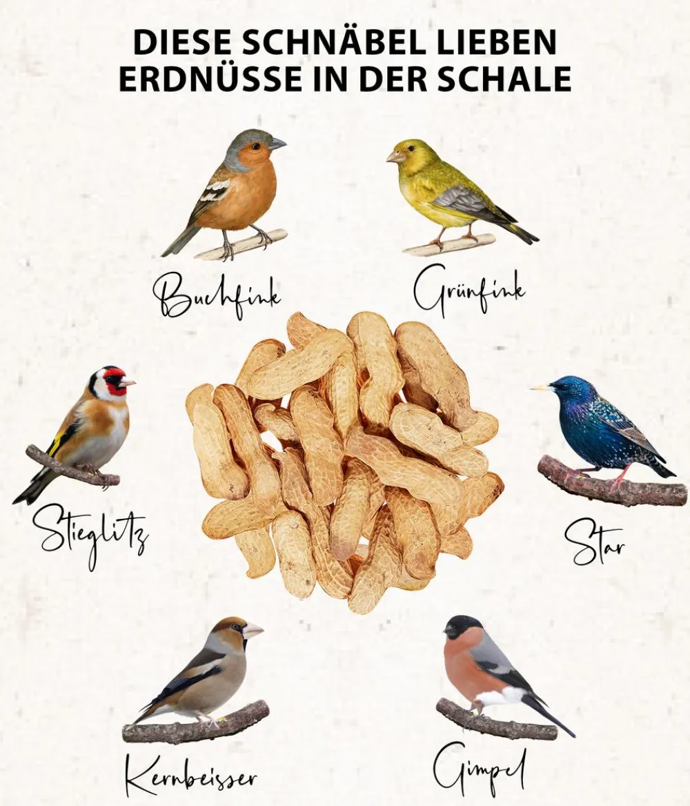 Dehner Natura Premium Wildvogelfutter Erdnüsse in der Schale, 500 g Outlet