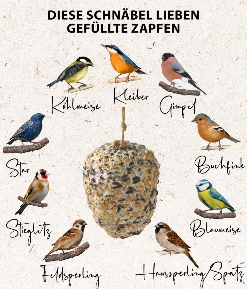 Dehner Natura Premium Wildvogelfutter Riesen-Futterzapfen Outlet