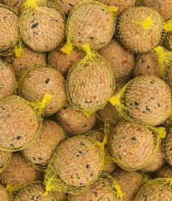 Dehner Natura Premium Wildvogelfutter Beeren-Meisenknödel, mit Netz, 6 Stk. Online