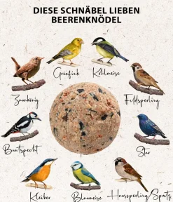 Dehner Natura Premium Wildvogelfutter Beeren-Meisenknödel, mit Netz, 6 Stk. Online