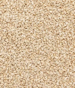 Dehner Natura Premium Wildvogelfutter & Snacks > Wildvogelfutter Halbe/Ganze Erdnüsse