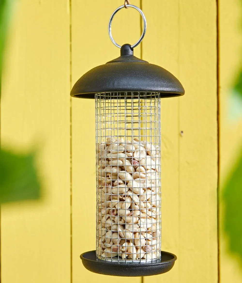 Dehner Natura Premium Wildvogelfutter & Snacks > Wildvogelfutter Halbe/Ganze Erdnüsse