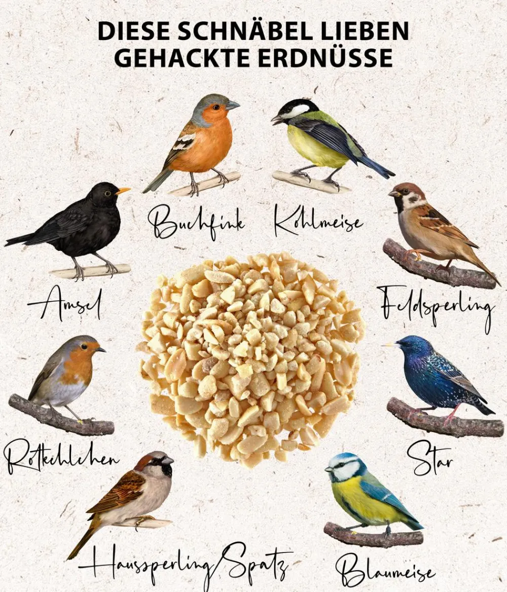 Dehner Natura Premium Wildvogelfutter & Snacks > Wildvogelfutter Gehackte Erdnüsse