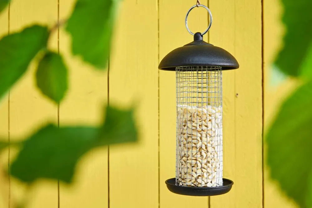 Dehner Natura Premium Wildvogelfutter & Snacks > Wildvogelfutter Gehackte Erdnüsse