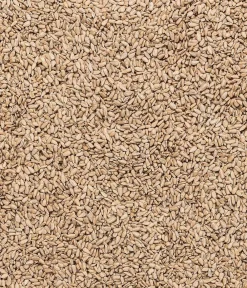 Dehner Natura Premium Wildvogelfutter & Snacks > Wildvogelfutter Geschälte Sonnenblumenkerne