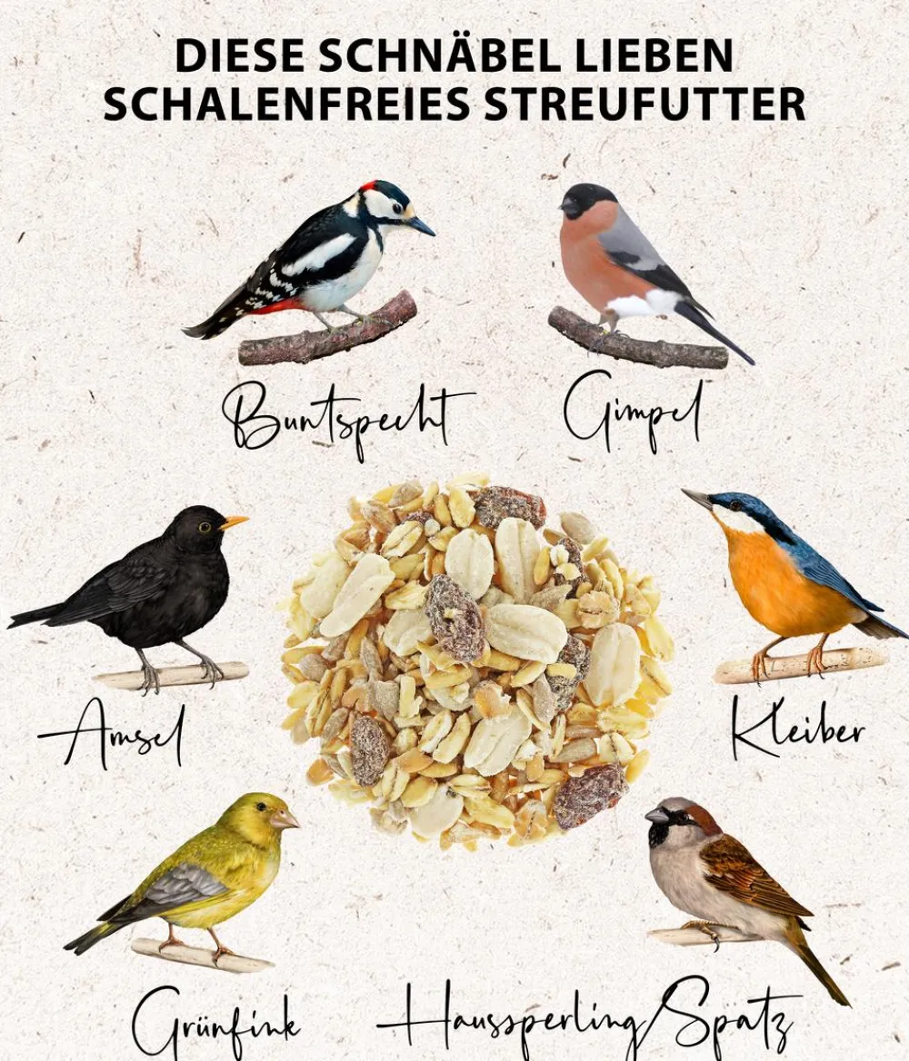 Dehner Natura Premium Wildvogelfutter & Snacks > Wildvogel Streufutter schalenfrei