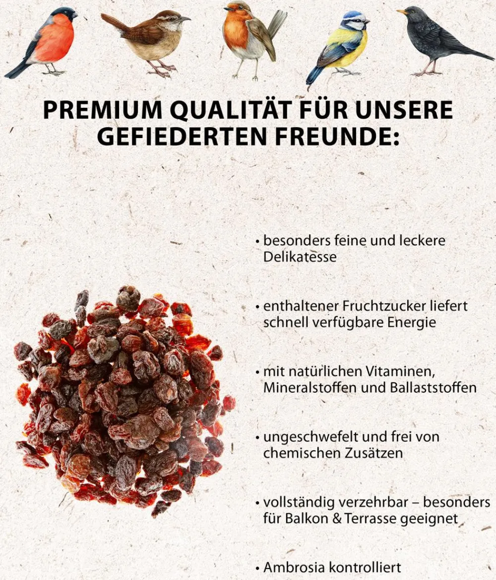 Dehner Natura Premium Wildvogelfutter & Snacks > Wildvogelfutter Rosinen