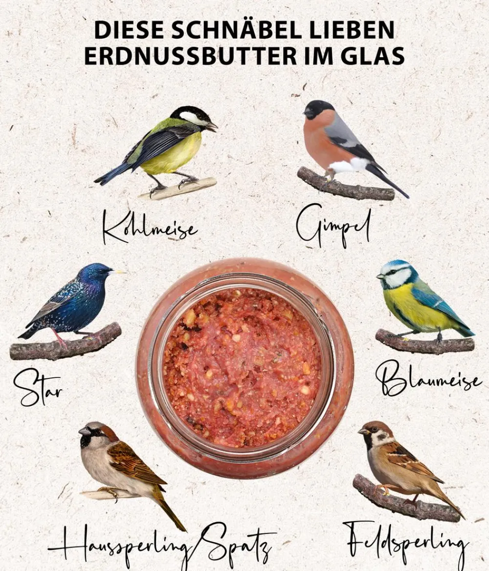 Dehner Natura Premium Wildvogelfutter & Snacks > Wildvogelfutter Erdnussbutter im Glas, Beeren, 8 x 340 g