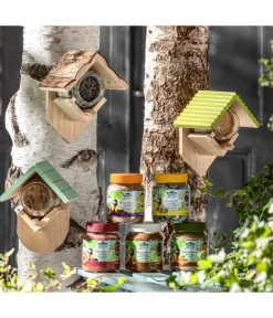 Dehner Natura Premium Wildvogelfutter & Snacks > Wildvogelfutter Erdnussbutter im Glas, Beeren, 8 x 340 g