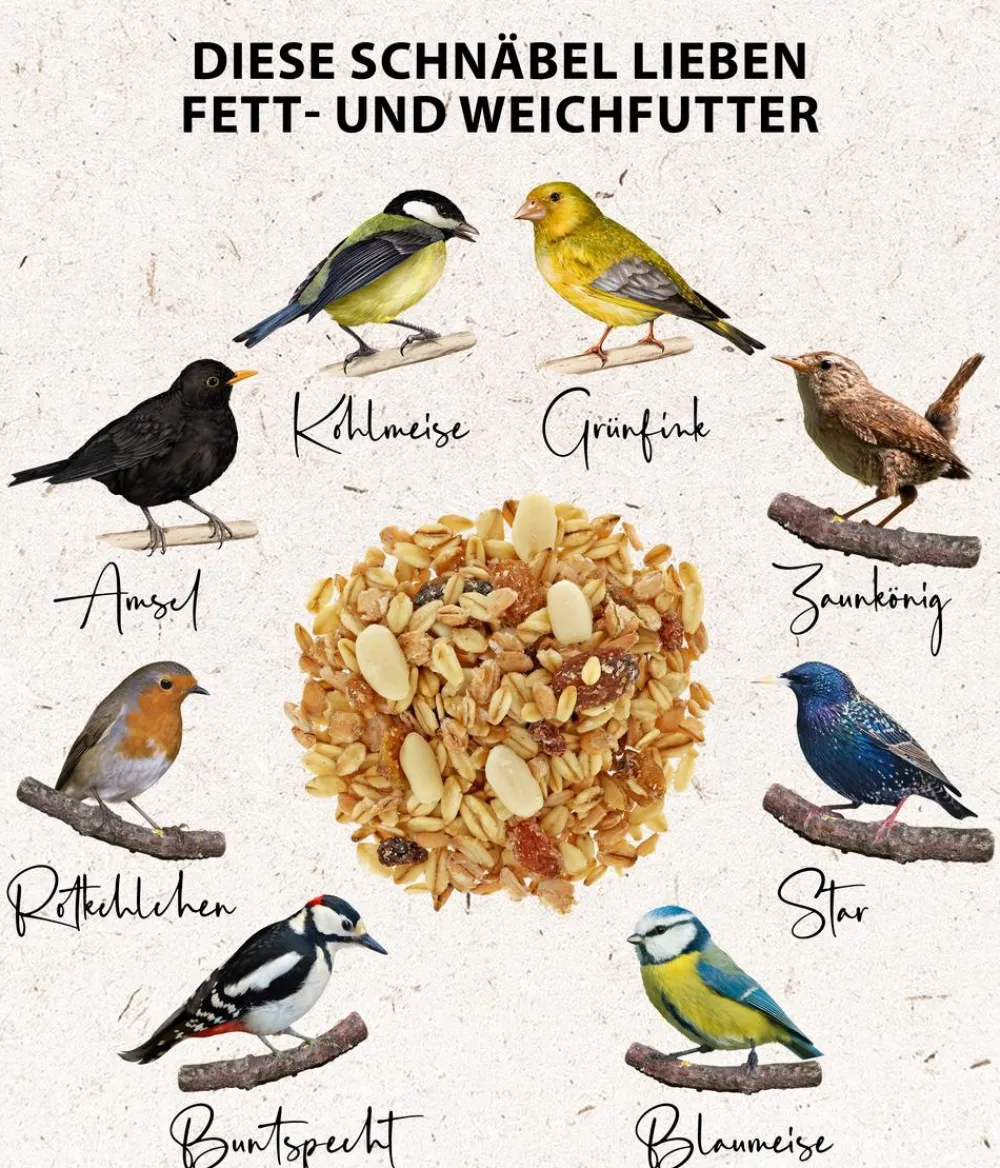 Dehner Natura Premium Wildvogelfutter & Snacks > Wildvogelfutter Erdnussbutter im Glas, Rosine, 8 x 340 g