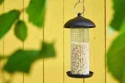 Dehner Natura Premium Wildvogelfutter Gehackte Erdnüsse Outlet