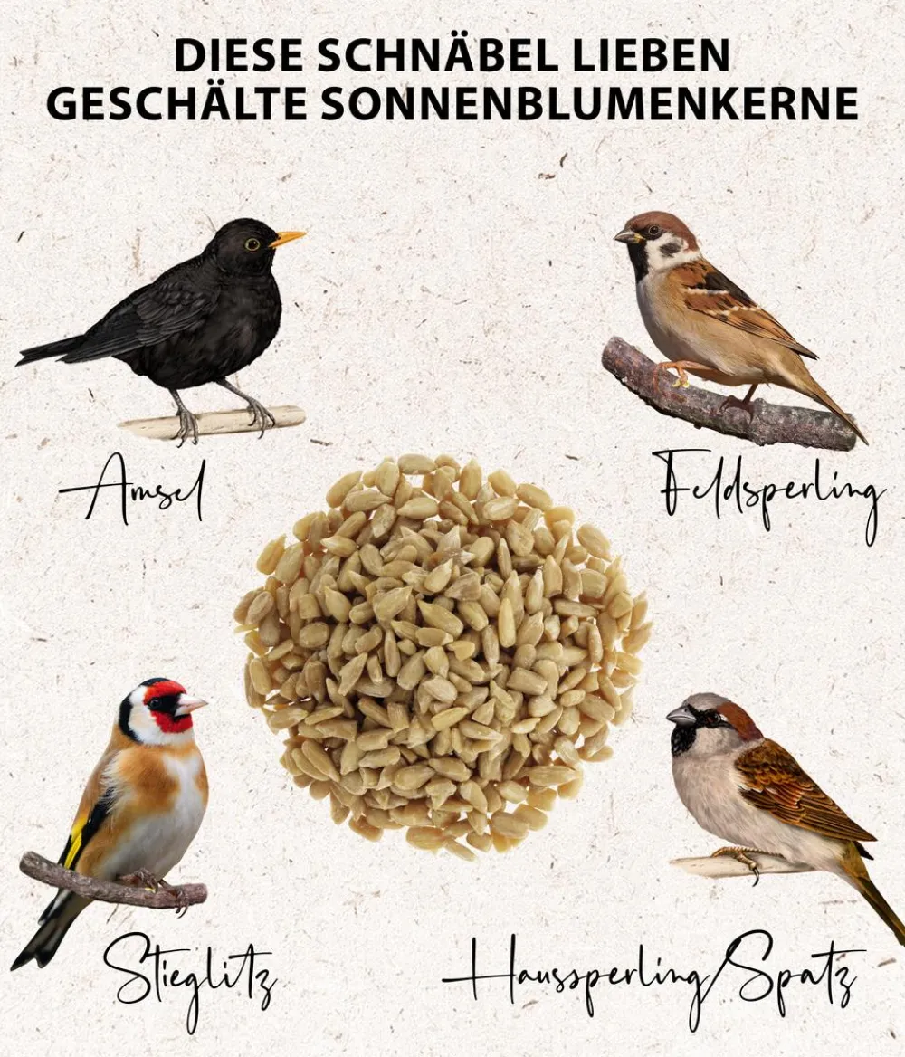 Dehner Natura Premium Wildvogelfutter & Snacks > Wildvogel Kokosnuss mit Fettfuttermischung