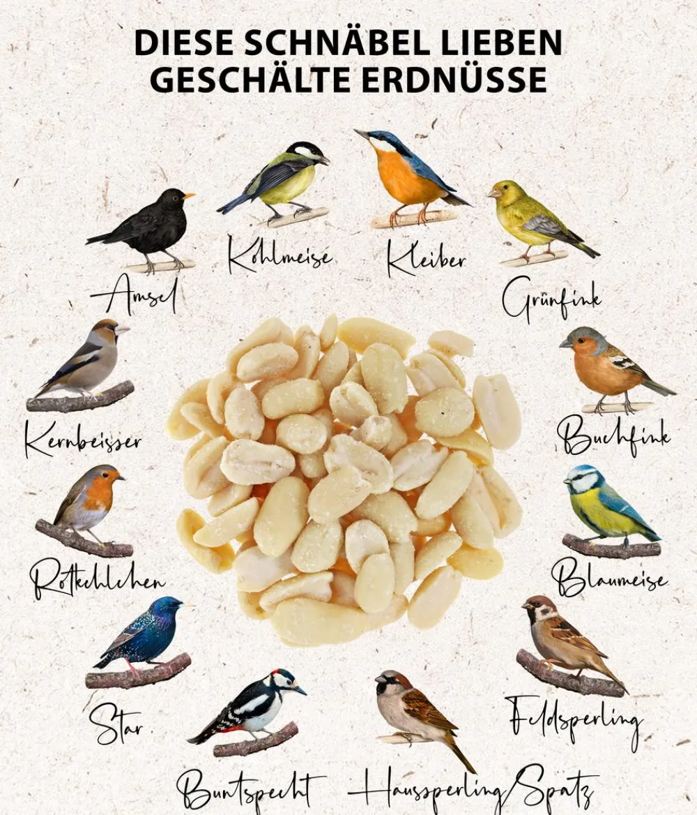 Dehner Natura Premium Wildvogelfutter & Snacks - Wildvogel Fett- und Weichfutter