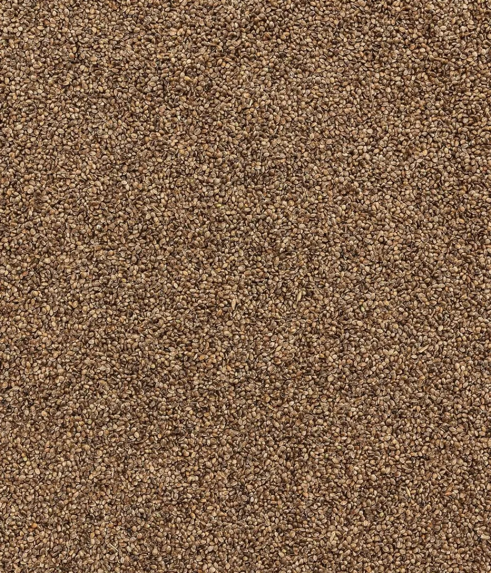 Dehner Natura Premium Wildvogelfutter Hanfsaat