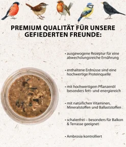 Dehner Natura Premium Wildvogelfutter Erdnussbutter im Glas, 3 x 2 Stk. Online