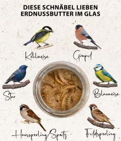 Dehner Natura Premium Wildvogelfutter Erdnussbutter im Glas, 3 x 2 Stk. Online