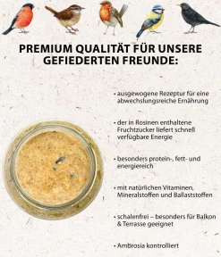 Dehner Natura Premium Wildvogelfutter Erdnussbutter im Glas, 3 x 2 Stk. Online