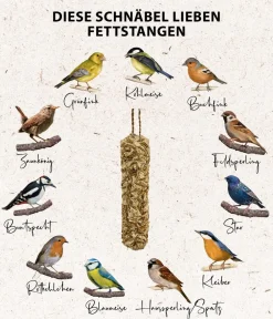 Dehner Natura Premium Wildvogelfutter & Snacks - Wildvogelfutter Sonnenblumenkerne