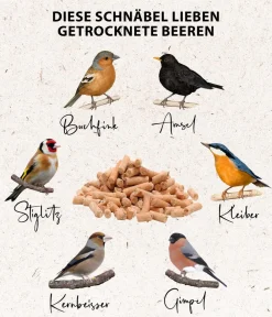 Dehner Natura Premium Meisenknödel > Wildvogelfutter Beeren-Meisenknödel im Karton, ohne Netz, 100 Stk.