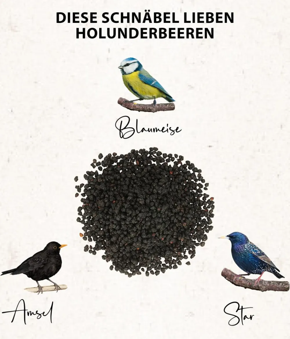 Dehner Natura Premium Wildvogel Ganzjahresfutter Holunderbeeren, 450 g New