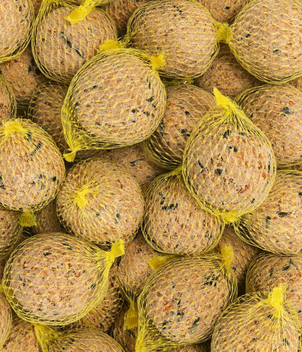 Dehner Natura Premium Wildvogelfutter & Snacks - Wildvogelfutter Rosinen