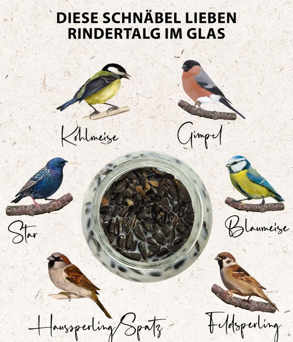 Dehner Natura Premium Wildvogelfutter & Snacks - Wildvogel Körner- und Weichfutter