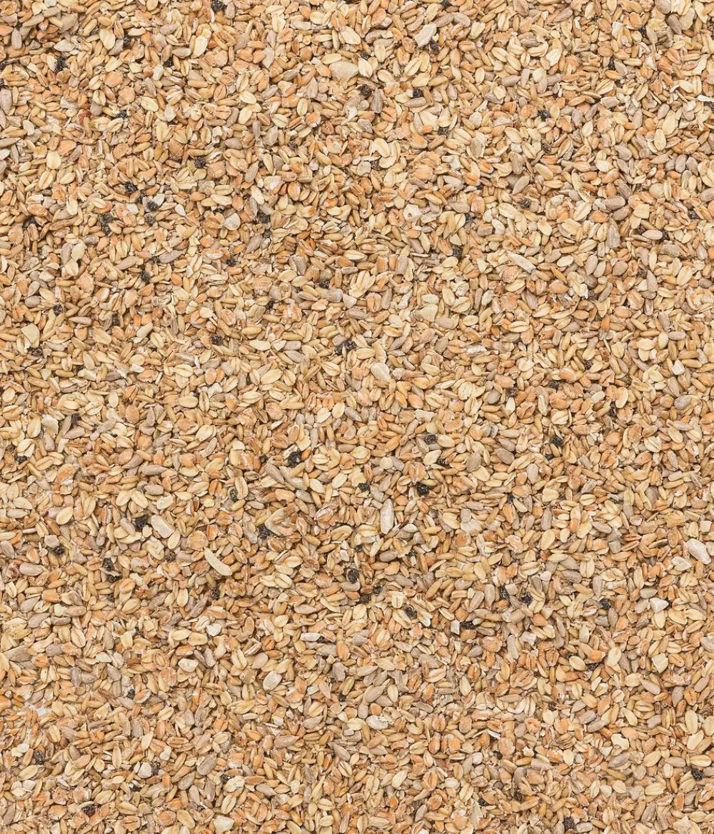 Dehner Natura Premium Wildvogelfutter Ganzjahresfutter Terrassen-Mix, 900 g Hot