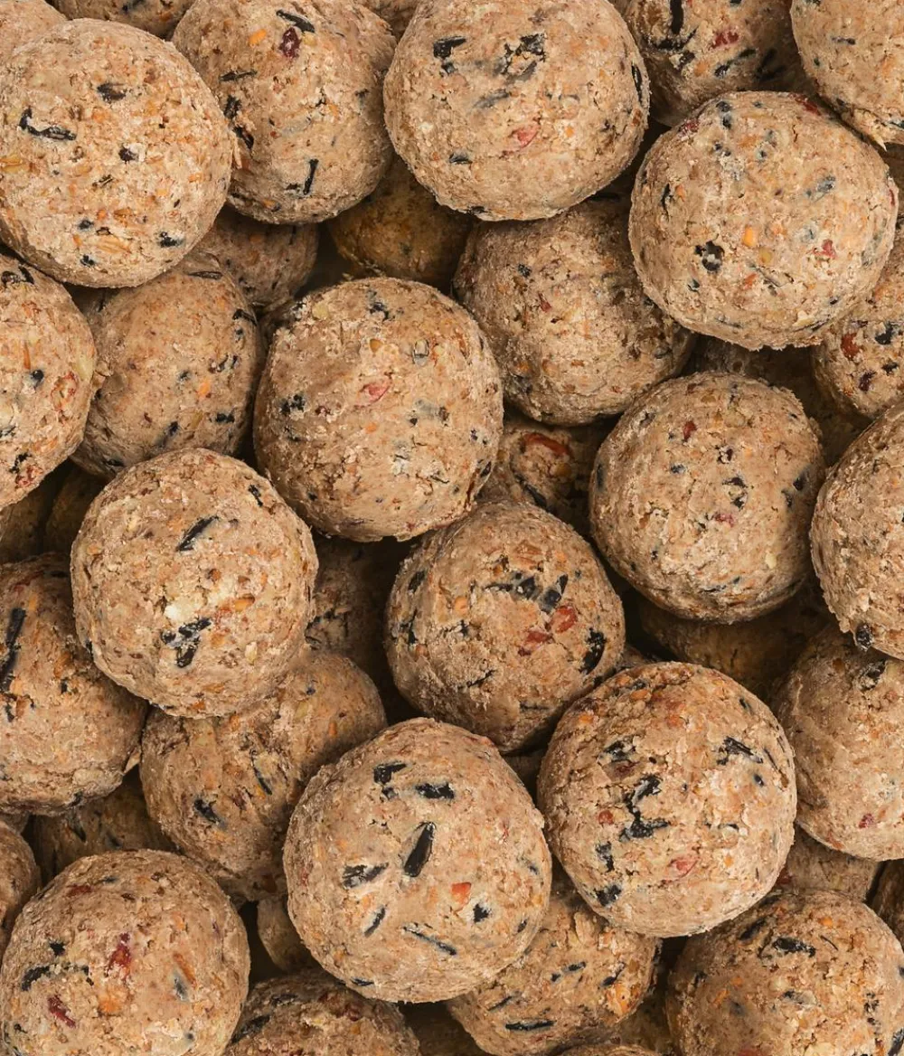 Dehner Natura Premium Wildvogelfutter Meisenknödel im Karton, ohne Netz Clearance